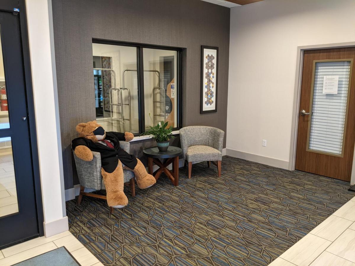 Holiday Inn Express South Burlington By Ihg Εξωτερικό φωτογραφία